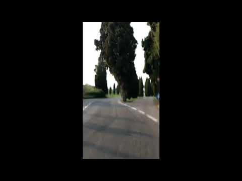 Sasa drives crazy with Igor's music