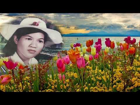 ដងស្ទឹងស្នេហាDong Steung Snaeha