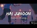 Hai Junoon [Slowed+Reverb]-KK | Audio Lyrics
