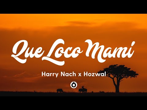 Harry Nach x Hozwal - Que Loco Mami (Lyrics/Letra)