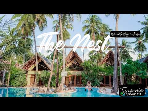 Inside The Nest Luxury Hotel – Paje Beach Zanzibar's Hidden Gem!