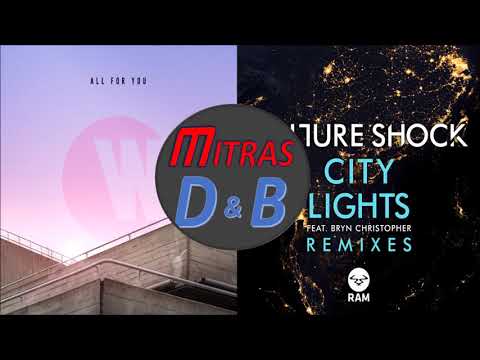 Wilkinson X Culture Shock - All For You (ft. Karen Harding) X City Lights (Instrumental)(Mashup)