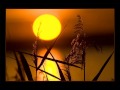 Fenomenon - Solara 