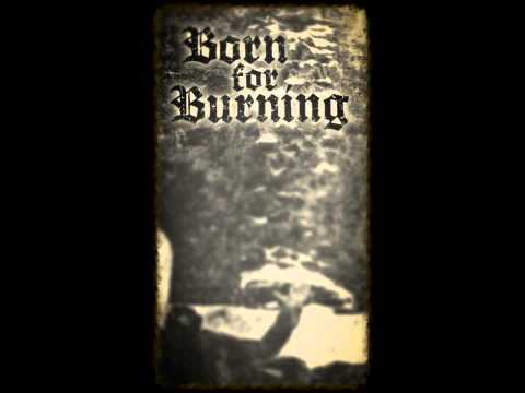Born For Burning - Shadows And Flames