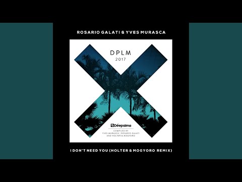 I Don't Need You (Holter & Mogyoro Remix)