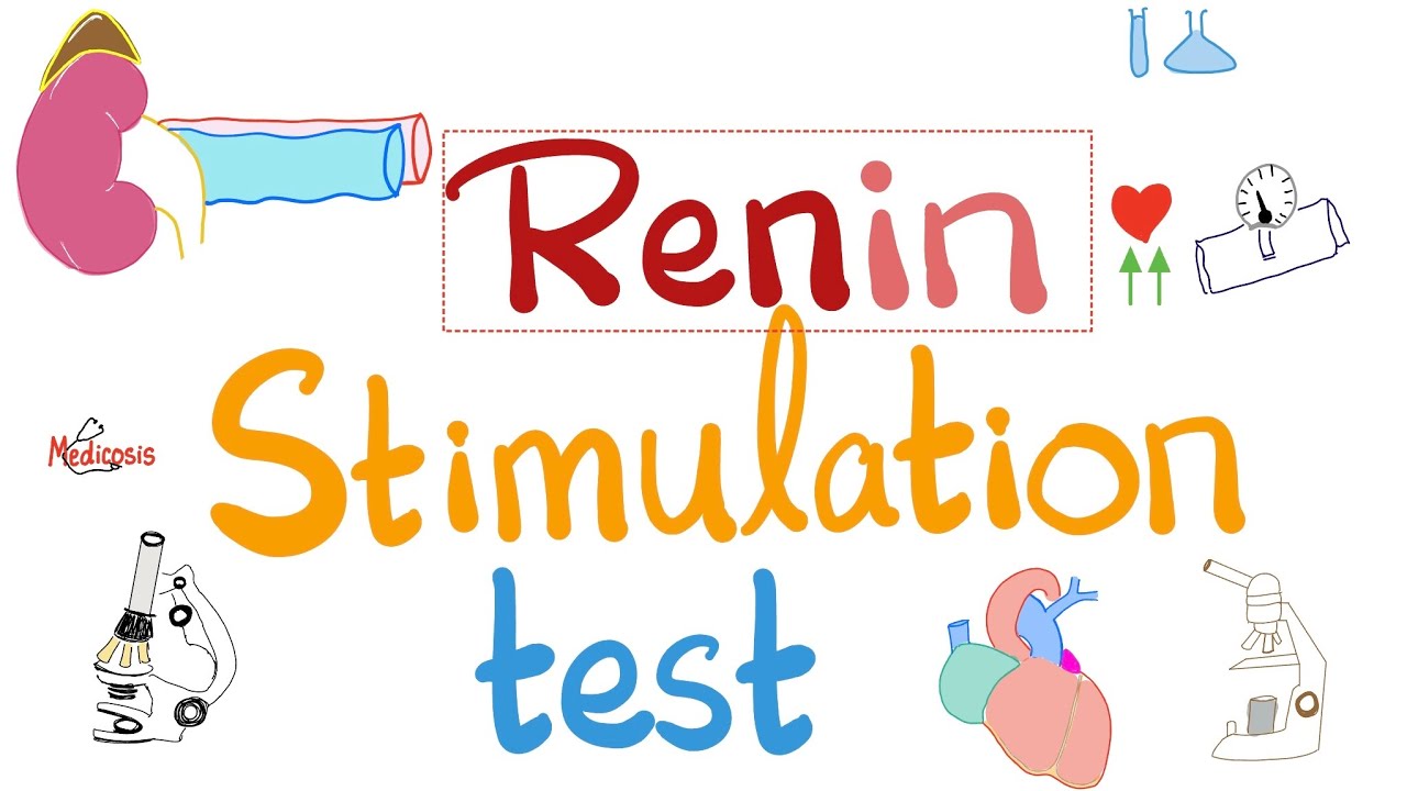 Renin Stimulation Test for Hyperaldosteronism - Primary Conn vs Secondary - Physiology Labs - YouTube