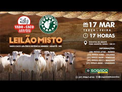 LEILÃO MISTO VADO-CACO E ESTÂNCIA MINEIRA LEILÕES EM ABAETÉ/MG - 17/03/2026