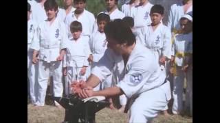 02 - The Residents - Diskomo