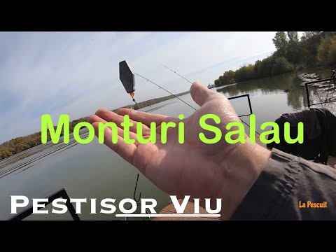 Three types of rigs for pike fishing with live or filleted fish!