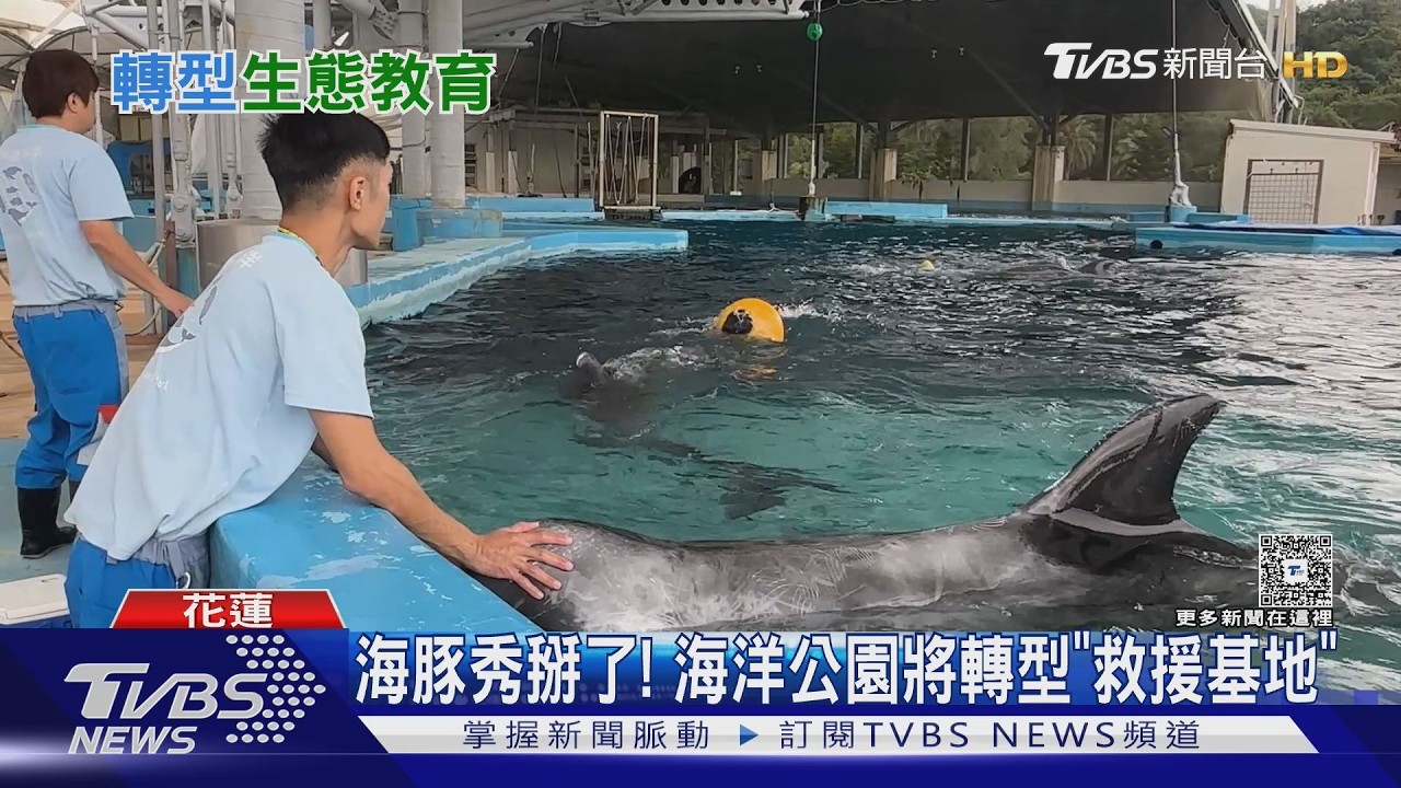 遠雄海洋公園宣布 跳浪奇緣4/6謝幕 十年海豚傳說落幕