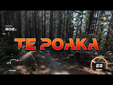 Te Poaka Rotorua "Spring 2025"
