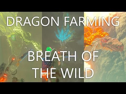 Dragon Farming Guide - BOTW