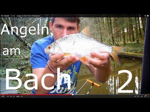 Angeln am Bach mit der Winkelpicker