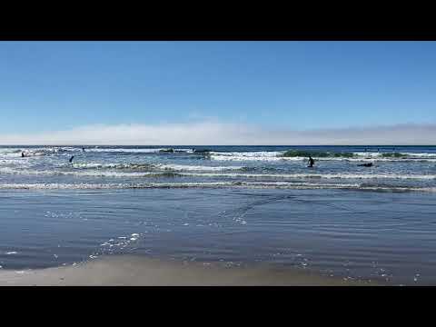 Another day at the beach