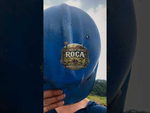 Explorando Foz do Areia em Pinhão – PR 🌲