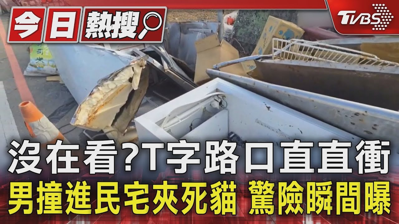 沒在看? T字路口直直衝 男撞進民宅夾死貓 驚險瞬間曝