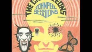 The Chameleons - Intrigue In Tangiers (John Peel Sessions)