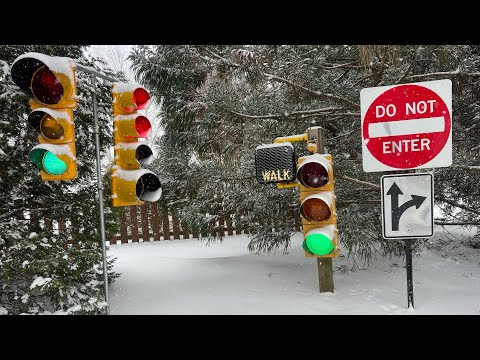 Backyard Traffic Signals In The Snow