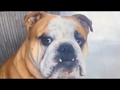 Right guys ... Nobody talk to Diego. He's a naughty boy 🫣