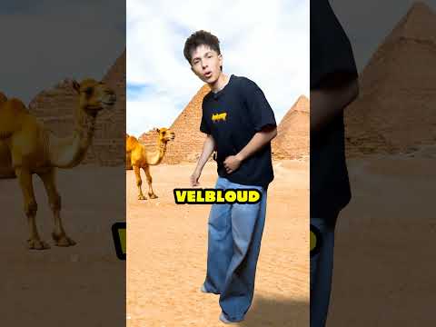 Dojdu až na Měsíc?🌙