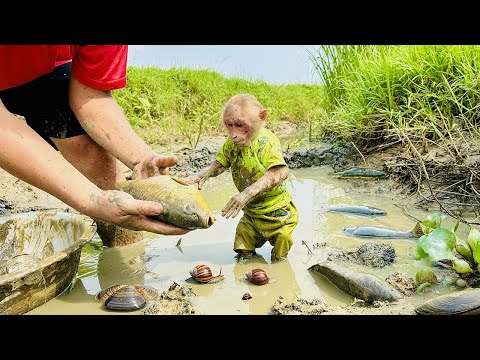 Bibi and Dad bathed in mud and harvested fish, snails and clams!