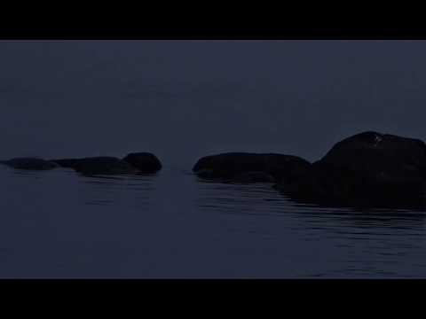 Lake Garda in winter