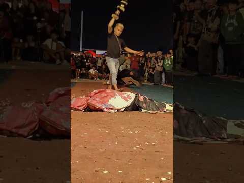 MENAKUTKAN Penyembuhan kesurupan gondo mayit jaranan kuda lumping #possessed