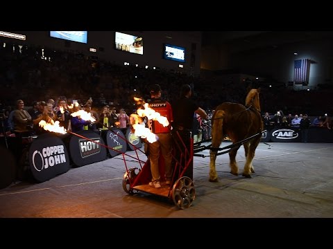 Vegas vs. Hoyt: Complete Podium Domination.