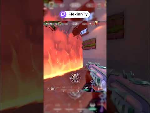 *NEW* Valiant Vandal Skin ACE (Calm)