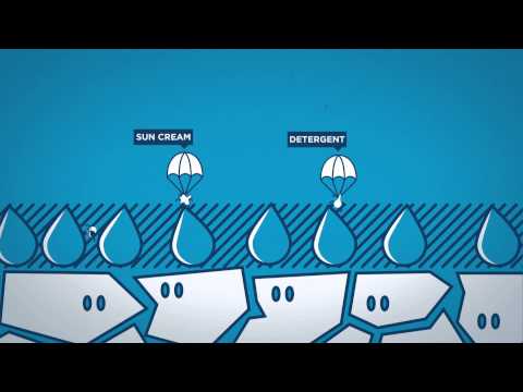 The Science Behind Your Skin