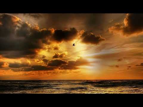 'Flying, Not Falling' (Live Orchestra & Choir) by Eternal Eclipse (Thomas-Adam Habuda)