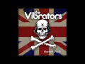 Vibrators - Hey Joe