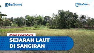 Jejak dan Bukti Samudera dalam Situs Sangiran Masih Ditemukan, Begini Sejarahnya