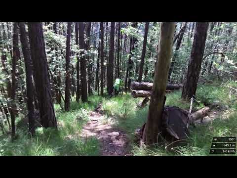 Troi dal Checo - Moggio Udinese 08 06 2019