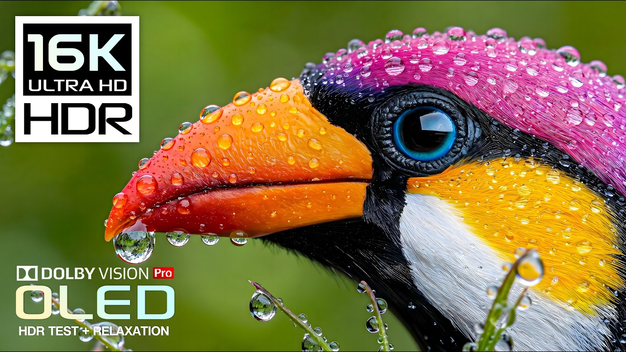Ultra Massive Details OLED HDR TEST | 16K HDR Nature Video | Dolby Vision 120FPS (8K/4K Video TV)