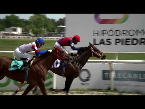CARRERAS HIPODROMO LAS PIEDRAS - 211112 c03 1° PERLA DEL SABA
