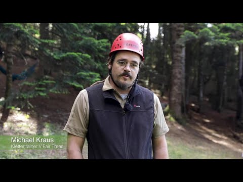 Klettertraining Fair Trees / toom