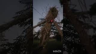 Download lagu 18 November 2025 mp3 Download lagu 18 November 2025 mp3