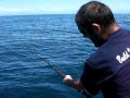 Fishing With Elmo