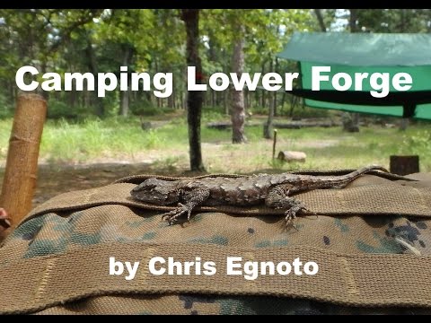 Camping Pine Barrens NJ Pt. 1