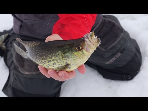 Steve Herschbach Fishing the Kenders K-Rip for Big Crappies and Bluegills