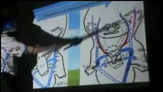 Dr Sherif Zaki Embryology (4) 4-5-2014