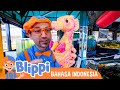 Belajar Tentang Hewan Bawah Air Dengan Blippi | Blippi Bahasa Indonesia - Video Anak-Anak