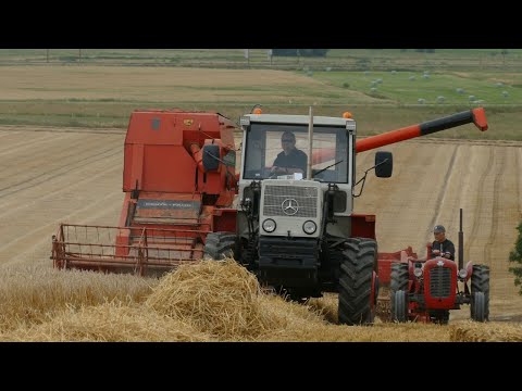 VINTAGE HARVEST DAY 2025 - CB Veteranerne