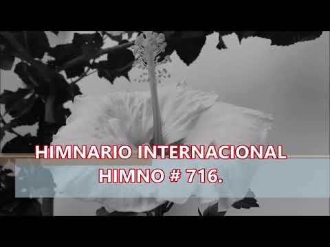 PERDONAME PADRE. # 716