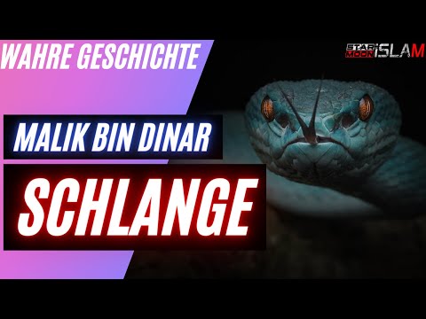 Malik Bin Dinar r.a und die Schlange ᴴᴰ ┇Wahre Geschichte┇STAR☪MOON Islam