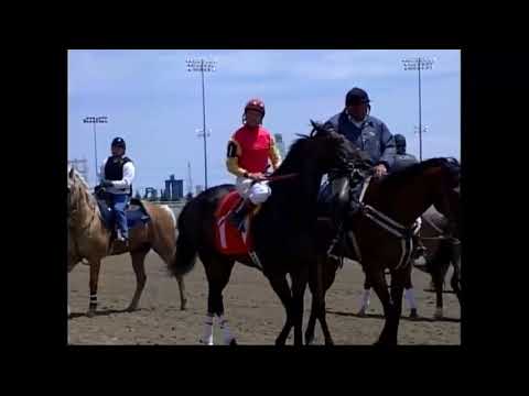2013 CHRHF Thoroughbred Inductee Soaring Free