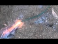 EXTREME GARDENING Rube Goldberg 2013