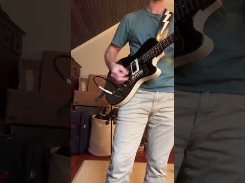 Dan Armstrong modified Danelectro U1 1960’s imagen 7