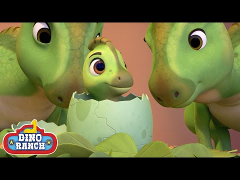 Clever Dino Doctors & Sharing Dino Treats! 🦕| Dino Ranch | Cartoons for Kids